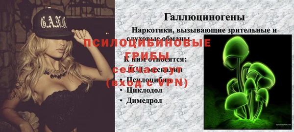 каннабис Абаза