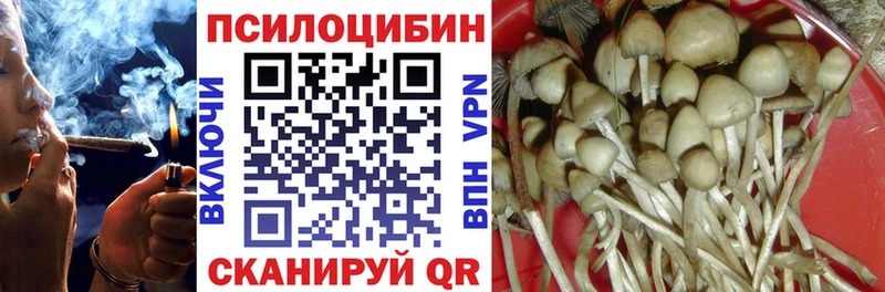 купить  цена  Владимир  Псилоцибиновые грибы мухоморы 